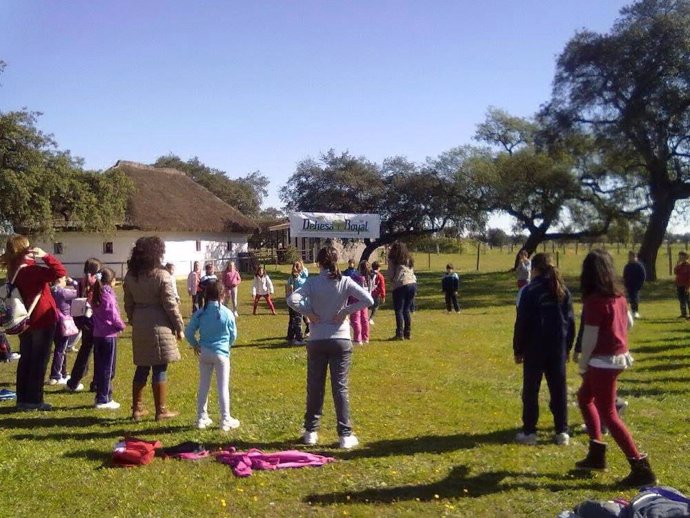 Imagen de actividades en la Dehesa Boyal