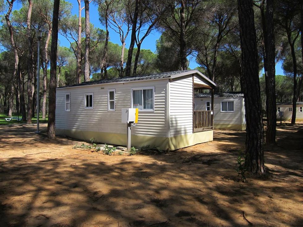 Archivo - Bungalow en un camping en Doñana. 