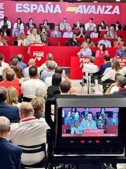 El secretario general del PSOE Alto Aragón, Fernando Sabés, en la reunión del Comité Federal del PSOE celebrada este sáabado en Madrid.