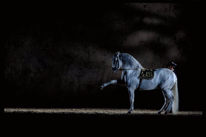 Imagen de uno de los números del espectáculo 'Cómo Bailan los Caballos Andauces'.