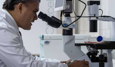 Comunicados Sociedad