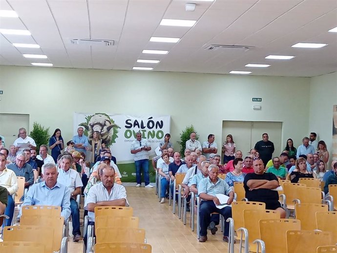 Subasta de raza merina del Salón Ovino de Castuera.