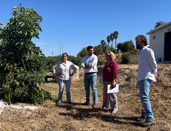 El delegado de Agricultura de la Junta, Francisco Moreno, en una finca agrícola de Torrecera.