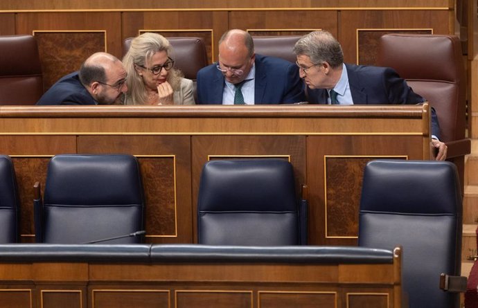 Archivo - Diputados del PP; el portavoz del PP en el Congreso, Miguel Tellado y el presidente del PP, Alberto Núñez Feijóo, durante una sesión de control al Gobierno, en el Congreso de los Diputados, a 26 de junio de 2024, en Madrid (España). 