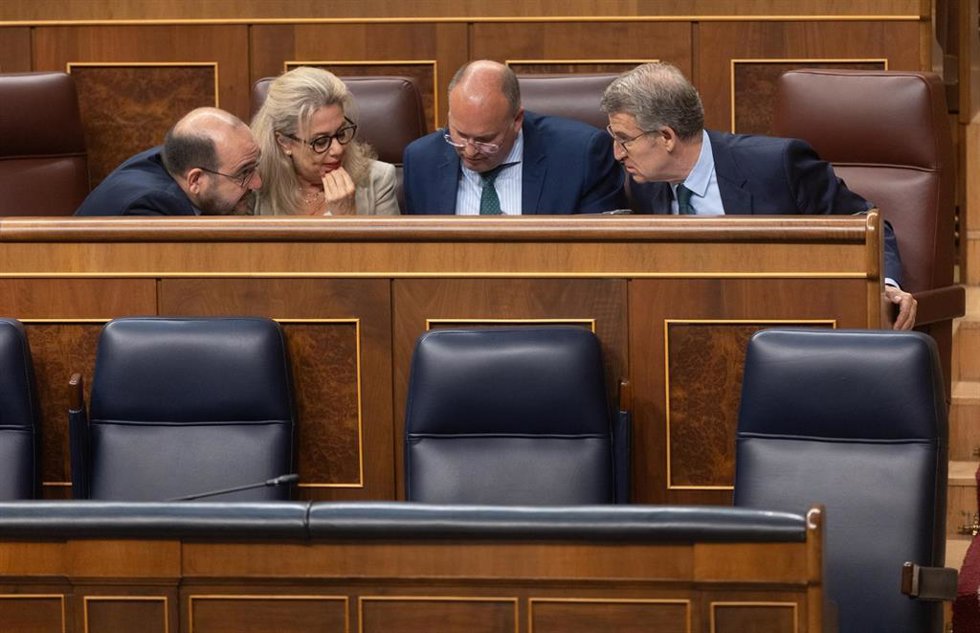 Archivo - Diputados del PP; el portavoz del PP en el Congreso, Miguel Tellado y el presidente del PP, Alberto Núñez Feijóo, durante una sesión de control al Gobierno, en el Congreso de los Diputados, a 26 de junio de 2024, en Madrid (España).