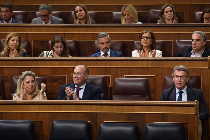 Archivo - El portavoz del PP en el Congreso, Miguel Tellado (c) y el presidente del Partido Popular, Alberto Núñez Feijóo (d), durante una sesión plenaria extraordinaria, en el Congreso de los Diputados, a 23 de julio de 2024, en Madrid (España). El Pleno