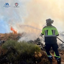 Efectivos del Consorcio Provincial de Bomberos luchan contra las llamas en el incendio de Periana