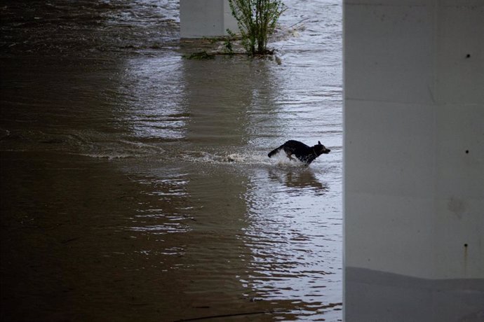 Archivo - Imagen de recurso de una inundación por la crecida de un río.