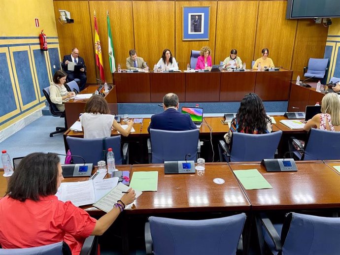 La consejera de Inclusión Social, Loles López, en la comisión de discapacidad en el Parlamento de Andalucía.