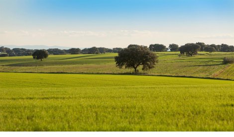 Comunicados Ocio y Deportes