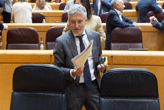 El ministro del Interior, Fernando Grande Marlaska, durante una sesión plenaria en el Senado