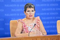 Adelante cree "corrupción" la contratación de emergencia de la Junta, que "se saltó las advertencias" de la Intervención