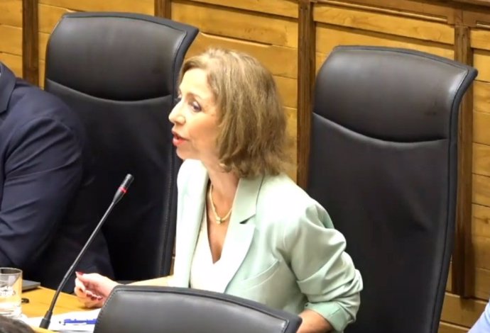 Intervención de la concejala de Servicios Sociales del Ayuntamiento de Gijón, Ángeles Fernández-Ahúja, en el Pleno Municipal gijonés.