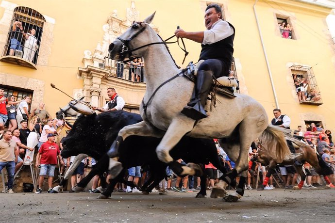 Uno de los momentos de la Segunda Entrada de Toros y Caballos