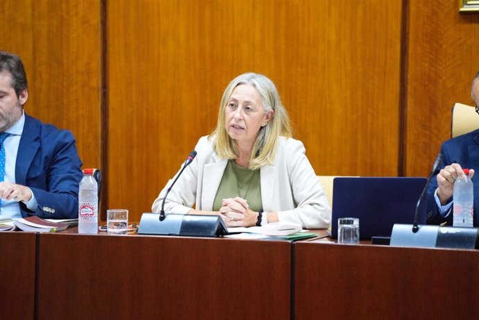 La consejera de Salud y Consumo, Rocío Hernández, en comisión parlamentaria.