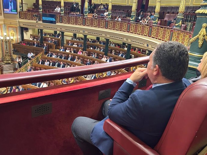 El presidente de la Diputación de Huelva, David Toscano, en el Congreso de los Diputados este miércoles.