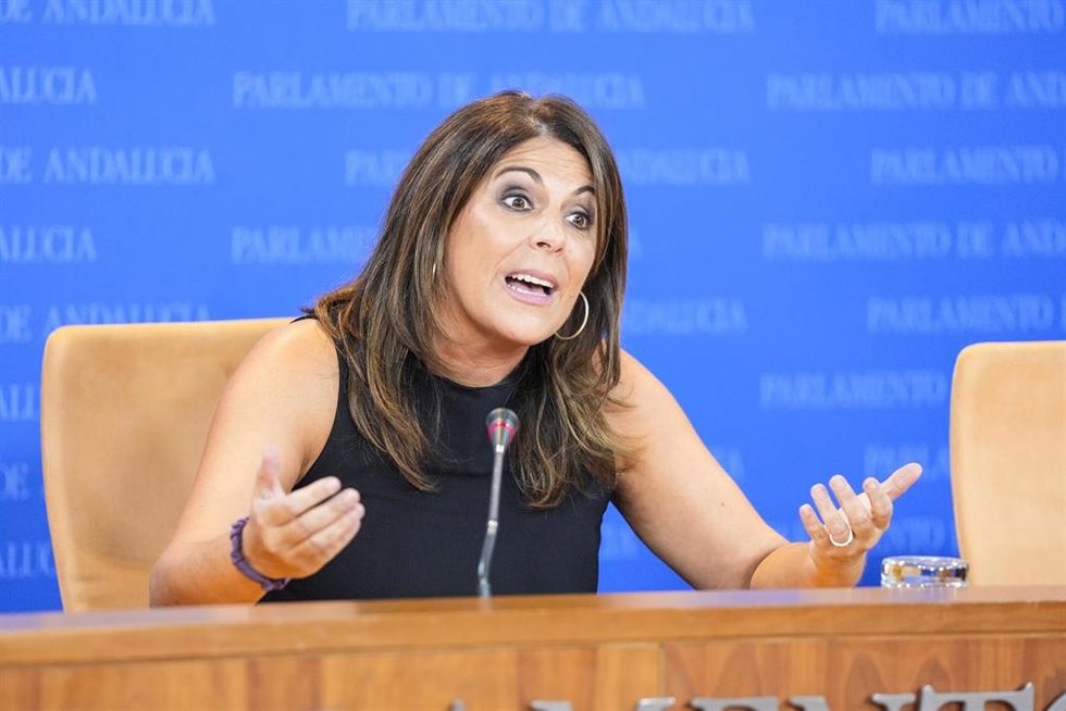 La portavoz del Grupo Socialista, Ángeles Férriz, este miércoles en rueda de prensa en el Parlamento de Andalucía.