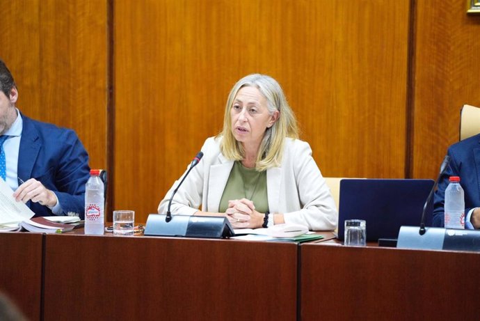 La consejera de Salud y Consumo, Rocío Hernández, en la comisión parlamentaria del 11 de septiembre de 2024.