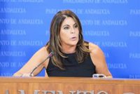 PSOE-A exige a Moreno que dedique la financiación a "garantizar" servicios públicos mientras "confronta" con Sánchez