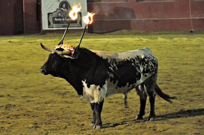 Fiesta del Toro de Ronda