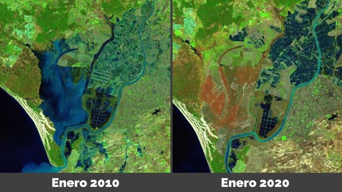 Imágenes satélite de enero de 2010 y enero de 2020 donde se aprecia la reducción de agua en las marismas de Doñana.