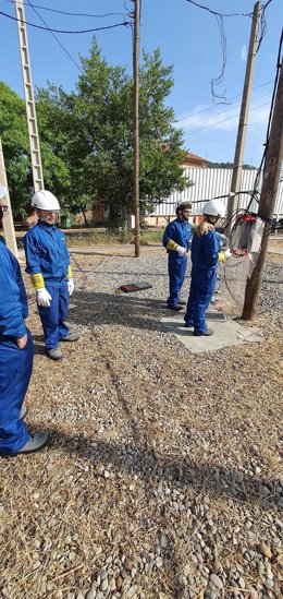 Alumnos de FP trabajando en Endesa.