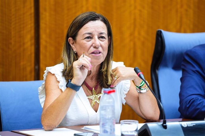 La consejera de Desarrollo Educativo y Formación Profesional, Carmen Castillo, en su primera comisión parlamentaria, el 12 de septiembre de 2024.