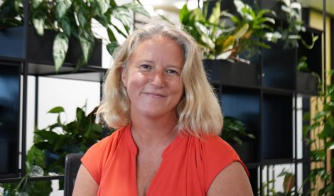 Comunicados Internacional