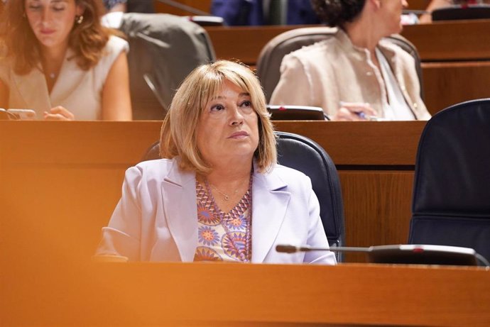 La consejera de Educación, Cultura y Deporte del Gobierno de Aragón, Tomasa Hernández.