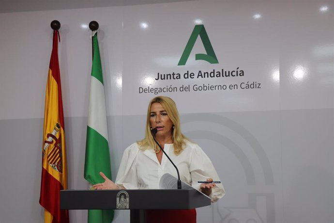 La delegada territorial de Economía, Hacienda, Fondos Europeos y de Industria, Energía y Minas de la Junta de Andalucía en la provincia de Cádiz, Inmaculada Olivero, en rueda de prensa.