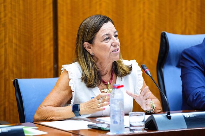 La consejera de Desarrollo Educativo y Formación Profesional, Carmen Castillo, en comisión parlamentaria.