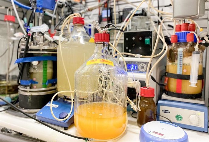 Latam.-Ciencia.-Microbios convierten el CO2 en proteínas para una dieta sin carne