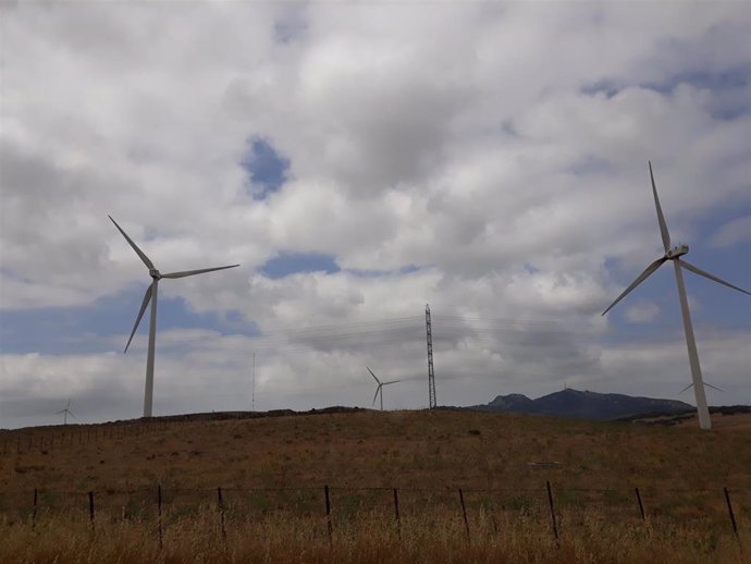 Archivo - Molinos de viento en la N-340, en Tarifa (Cádiz).