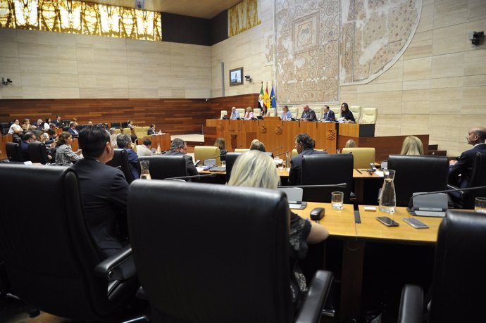 Pleno de la Asamblea de Extremadura