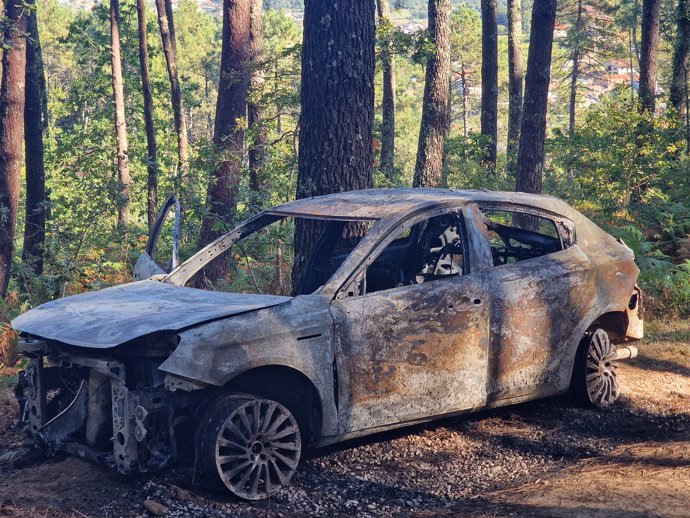 Imagen del vehículo calcinado en medio de un monte de Bembrive.