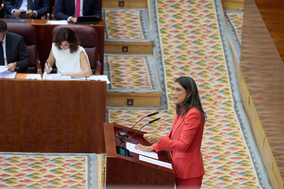 La portavoz de Más Madrid en la Asamblea, Manuela Bergerot