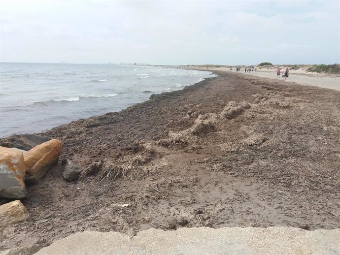 Imagen de la playa de La Llana, en San Pedro del Pinatar