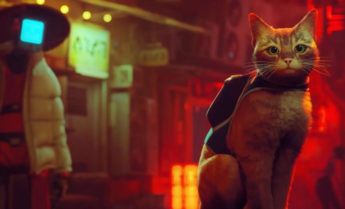 Gato protagonista del videojuego Stray