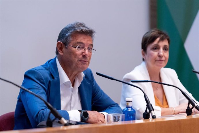 El exministro de justicia y presidente del Centro Español de Mediación, Rafael Catalá, este viernes durante su ponencia en el curso de verano de la UNIA 'Un modelo de justicia para Andalucía'