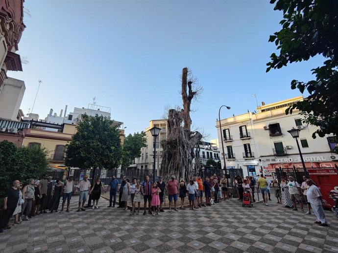 Concentración a los pies del ficus de San Jacinto