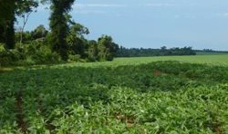 Comunicados Empresas