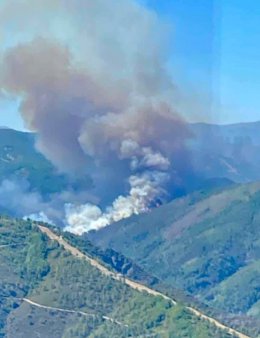 Incendio forestal originado en Nuñomoral (Cáceres)