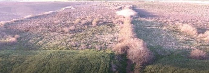 Imagen de la Laguna Calderón Grande, a catorce kilómetros de Osuna, en Sevilla.