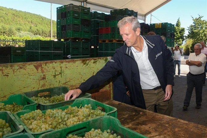 El presidente de la Xunta, Alfonso Rueda, visita las bodegas Ladairo en Oímbra (Ourense)