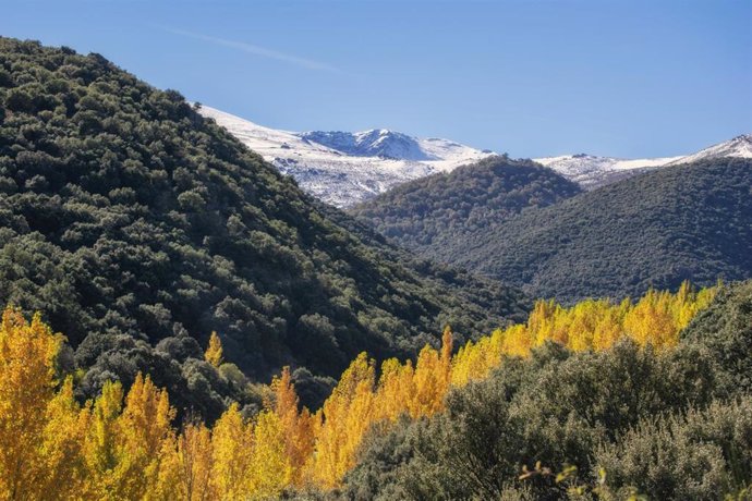 Espacio natural andaluz.