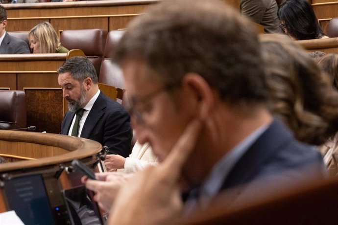 Archivo - En primer plano, el presidente del PP, Alberto Núñez Feijóo, y, al fondo, el líder de Vox, Santiago Abascal, durante un pleno en el Congreso de los Diputados.