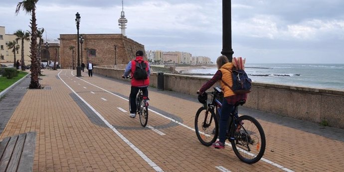 Archivo - Imagen de ciclistas por un carril bici en Cádiz.