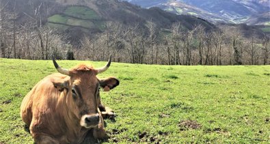 Asturias Rural