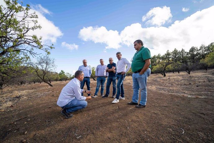 Visita de autoridades a la zona donde se pretende promover la recuperación de higueras y almendros en la isla de El Hierro