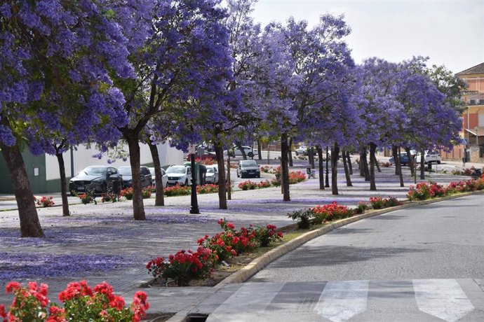 Archivo - Tomares es uno de los municipios andaluces que se ha adherido a la red de Ciudades Verdes.